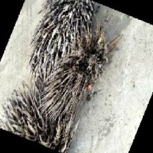 defect_train (101).jpg