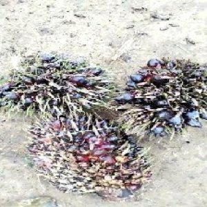 defect_train (1020).jpg