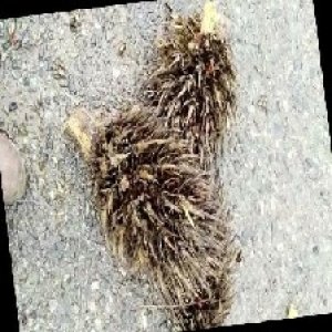 defect_train (1062).jpg