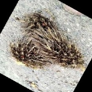 defect_train (1066).jpg