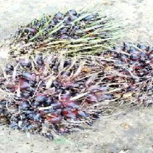 defect_train (1080).jpg