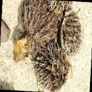 defect_train (1088).jpg