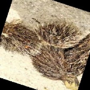 defect_train (1103).jpg