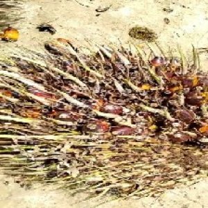 defect_valid (1).jpg