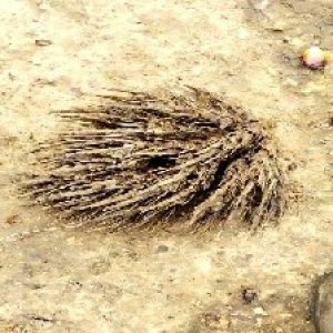 defect_valid (100).jpg