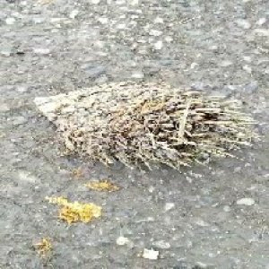 defect_valid (124).jpg