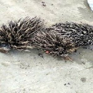 defect_valid (13).jpg