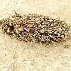 defect_valid (132).jpg