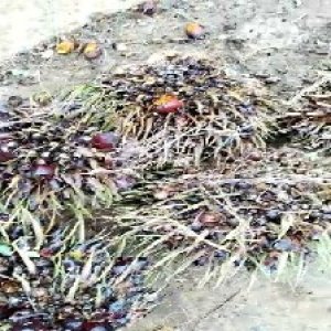 defect_valid (142).jpg