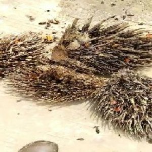 defect_valid (16).jpg