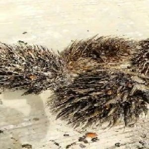 defect_valid (17).jpg