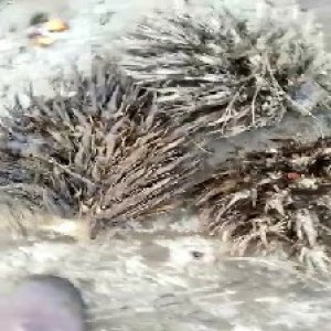 defect_valid (192).jpg