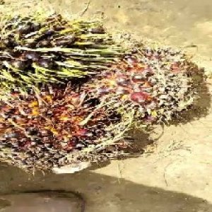 defect_valid (215).jpg