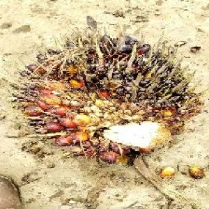 defect_valid (75).jpg