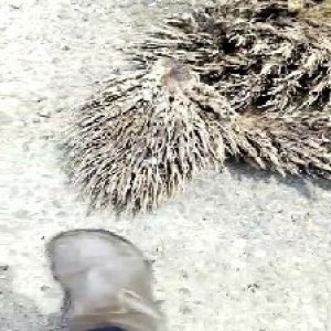 defect_valid (94).jpg