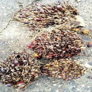 defect_valid (98).jpg