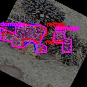 defect_train (10015)_defects.jpg