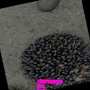 defect_train (10047)_defects.jpg