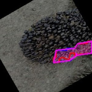 defect_train (10051)_defects.jpg