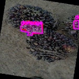 defect_train (10105)_defects.jpg