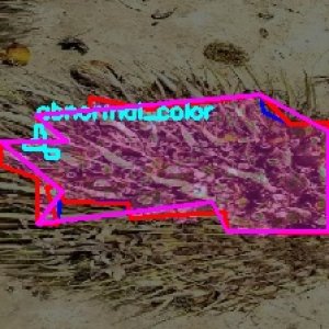 defect_valid (1)_defects.jpg