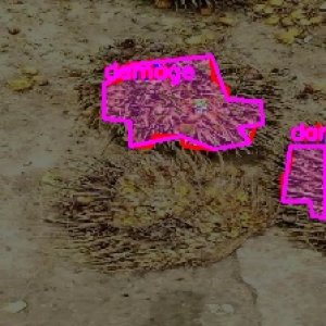 defect_valid (1008)_defects.jpg