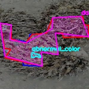 defect_valid (1067)_defects.jpg