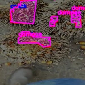 defect_valid (1076)_defects.jpg