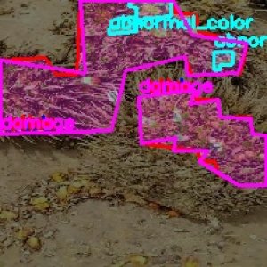 defect_valid (1100)_defects.jpg